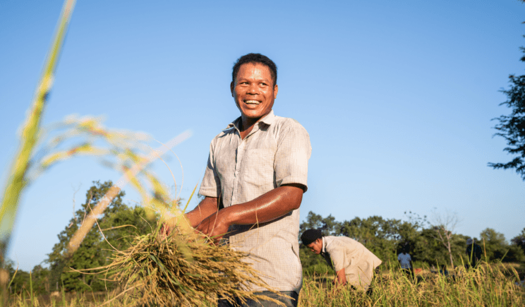 2-Cambodge-agriculturepng