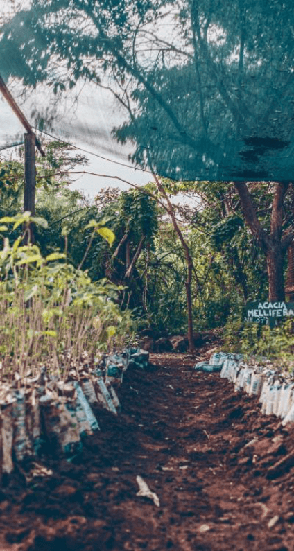 9-Afrique de l'est.png